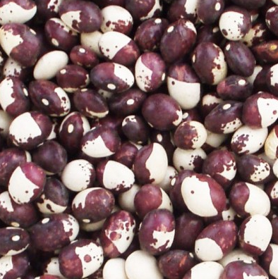 5 pistas para disfrutar de la gastronomía riojana | Vivanco