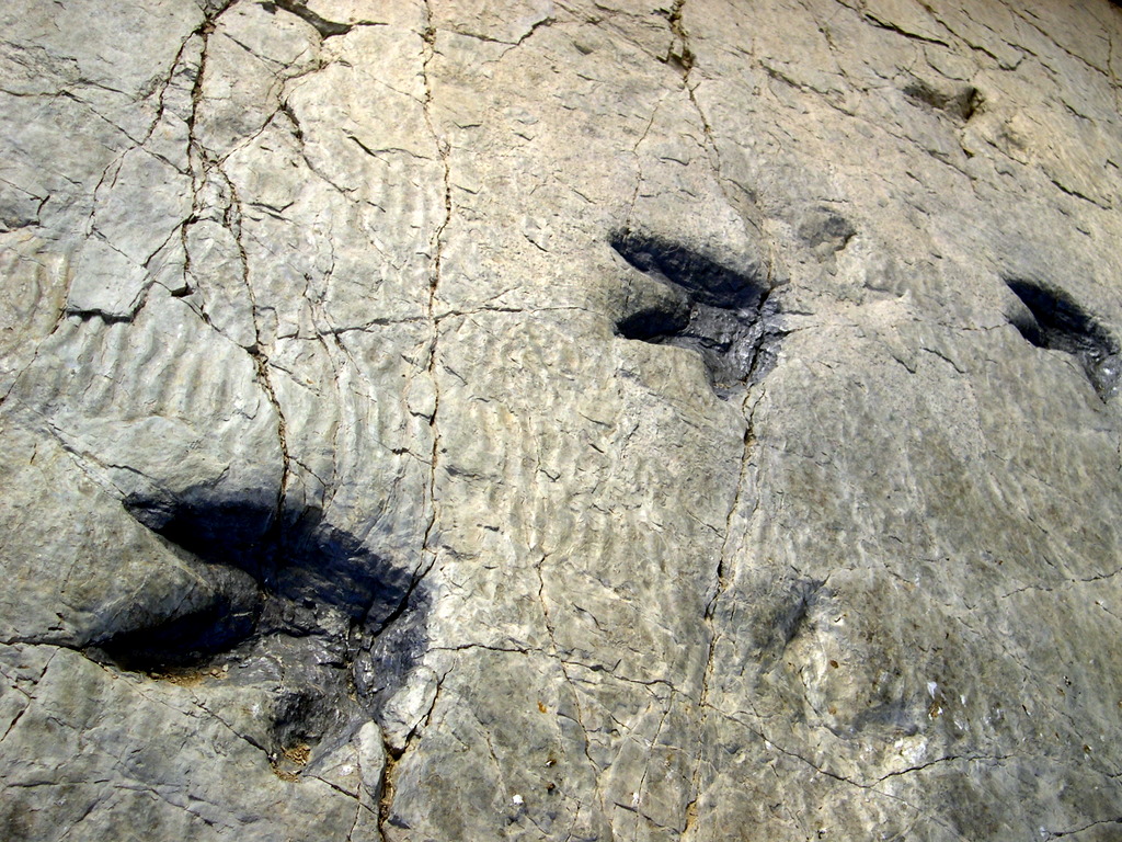 dinosaur footprints stone