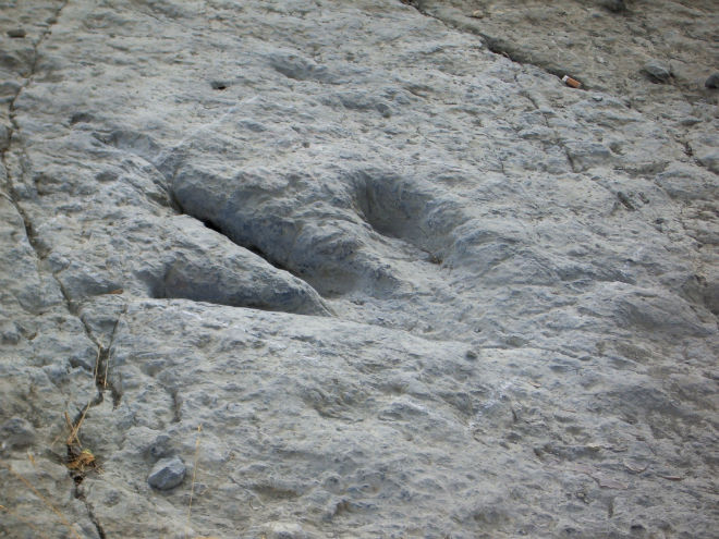 dinosaur footprints la rioja