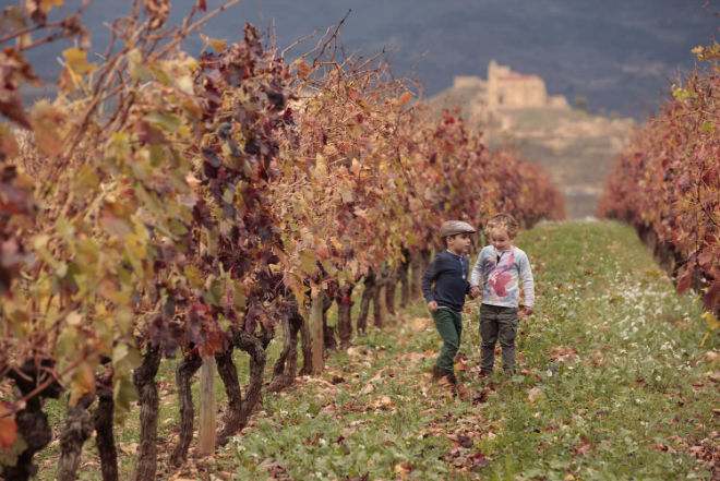 children vineyards