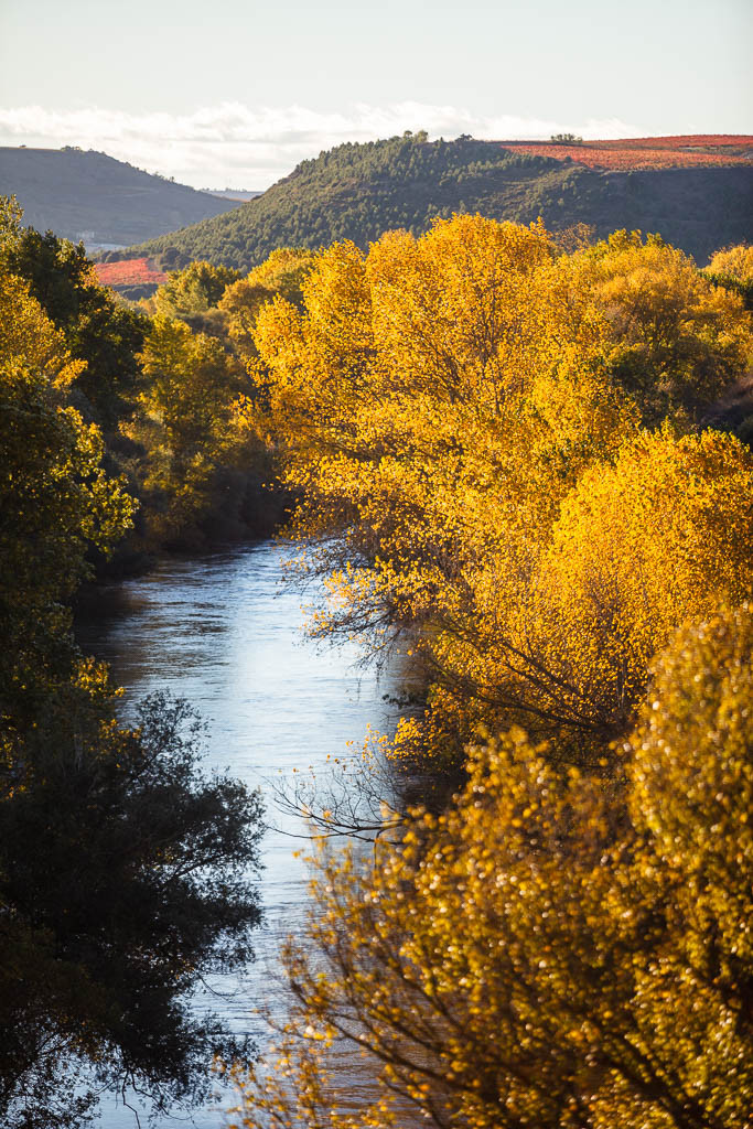 Río Ebro en otoño