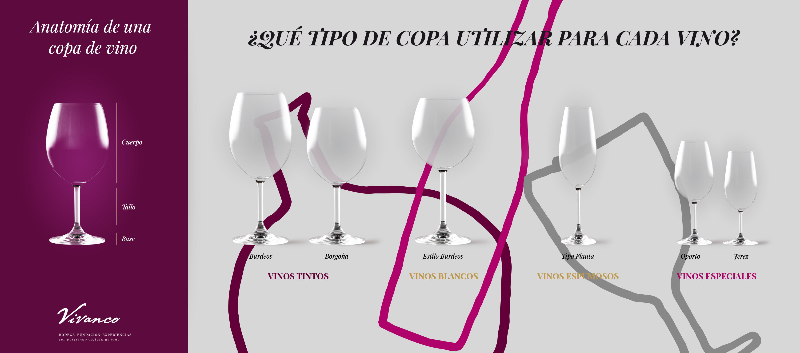 infografia copas vino