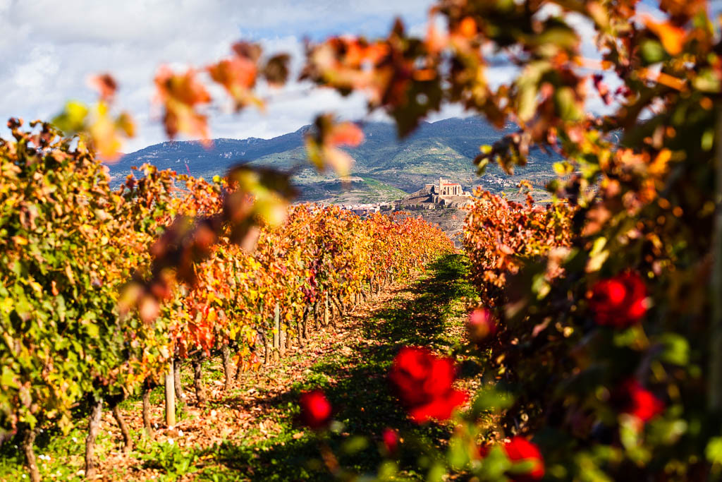 Otoño en La Rioja