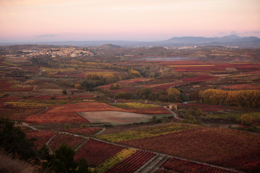 Vivanco en otoño