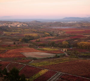 Otoño en Rioja