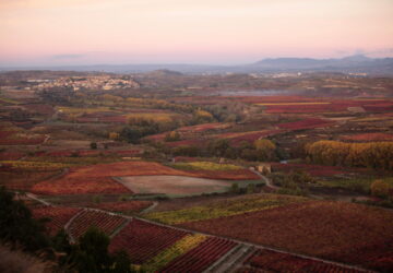 Otoño en Rioja